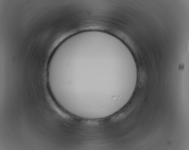 X0000093520890200710121125