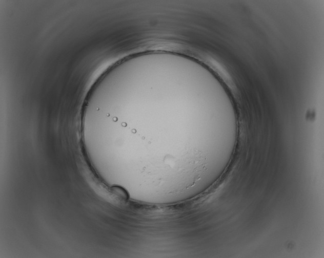 X0000093520891200710121125