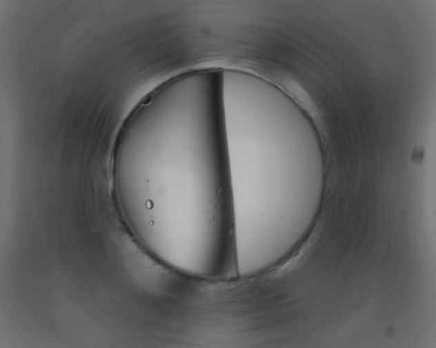 X0000093520892200710121125