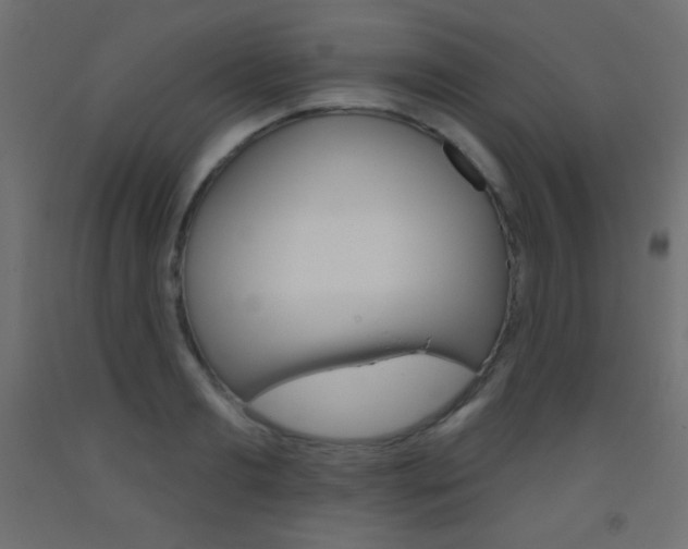 X0000093520893200710121125