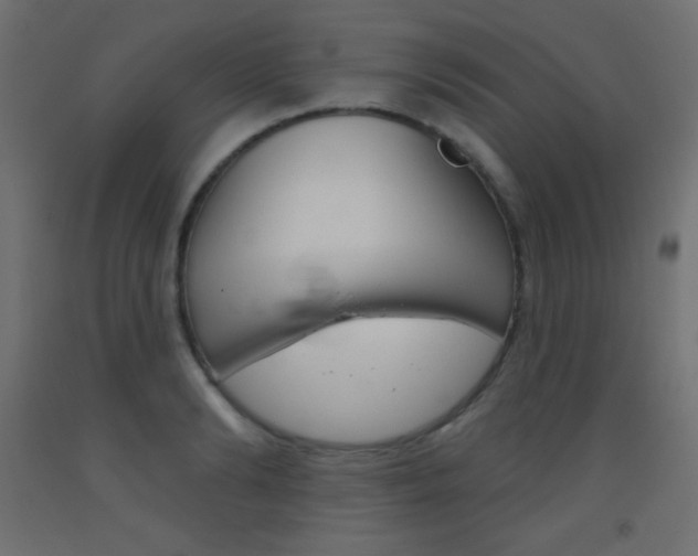 X0000093520894200710121125