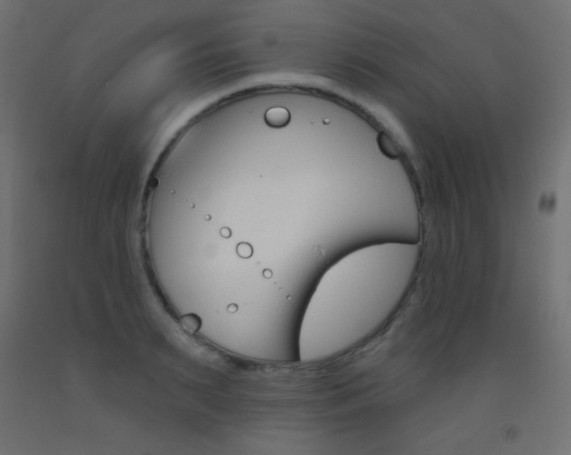 X0000093520895200710121125
