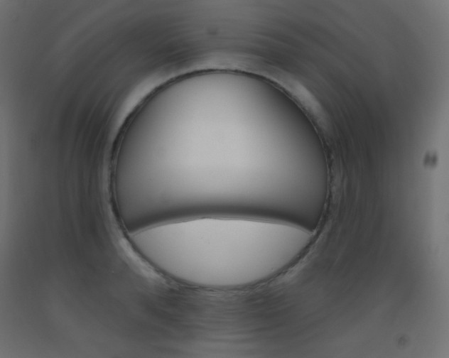 X0000093520896200710121125