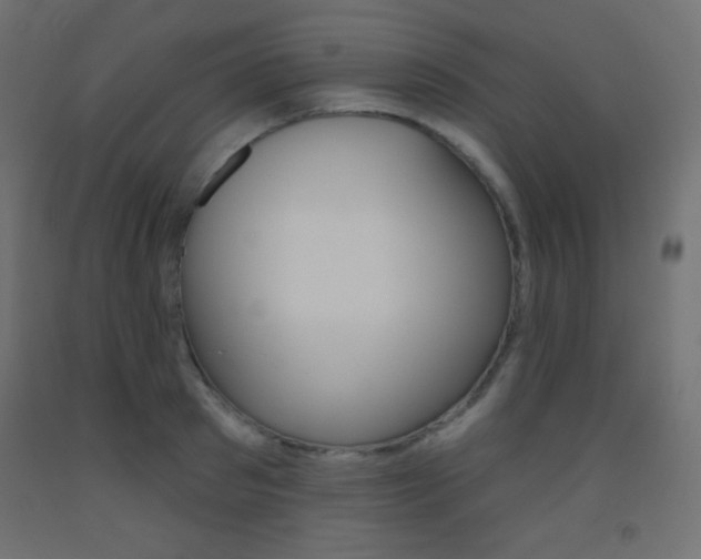 X0000093520897200710121125