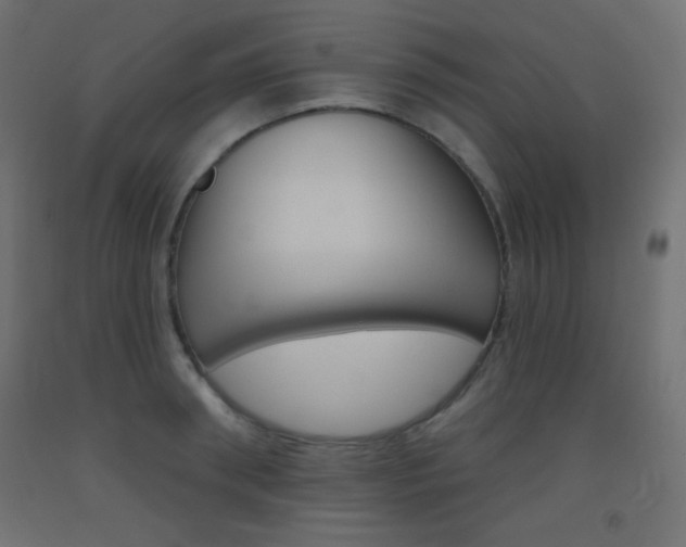 X0000093520898200710121125