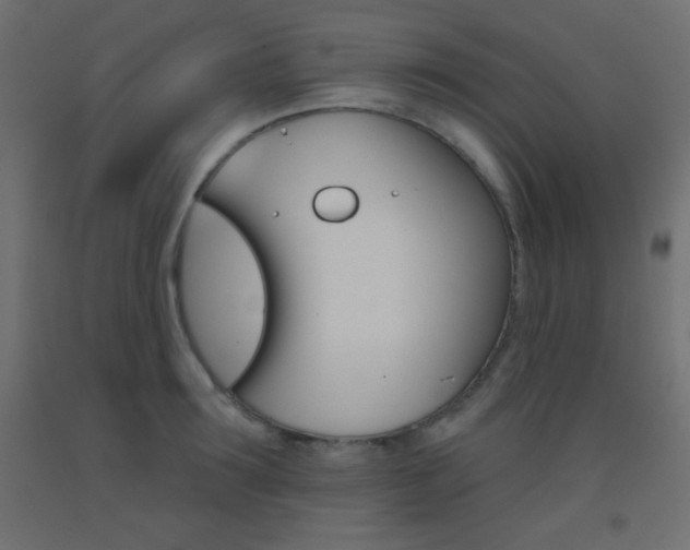X0000093520899200710121125