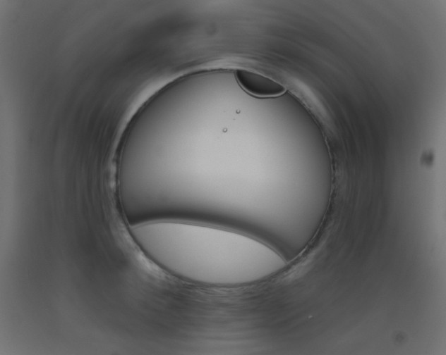 X0000093520900200710121125
