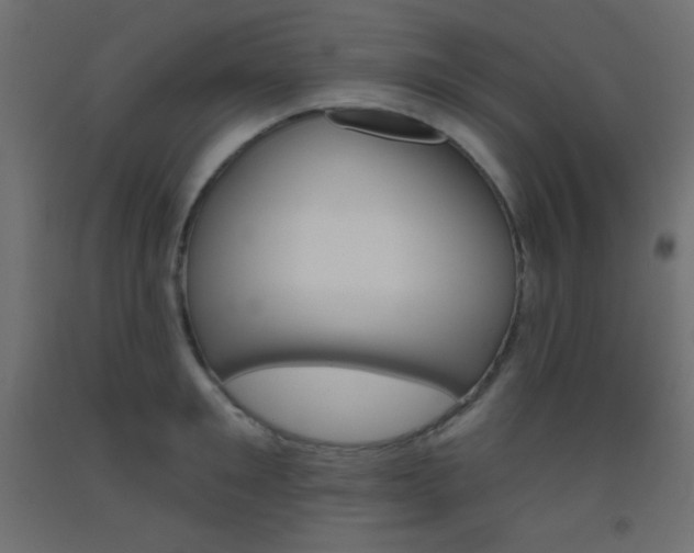 X0000093520901200710121125