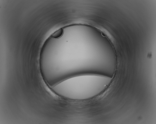X0000093520902200710121125