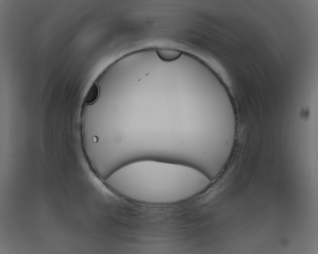 X0000093520903200710121125