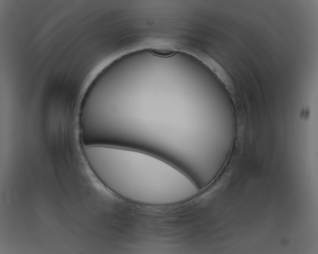 X0000093520904200710121125