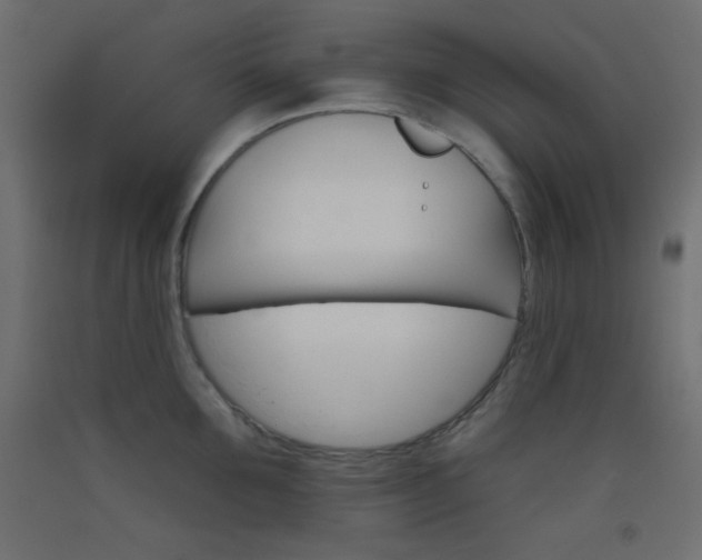 X0000093520907200710121125