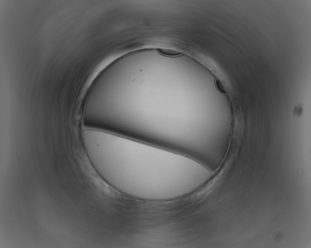 X0000093520908200710121125