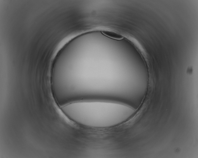 X0000093520910200710121125