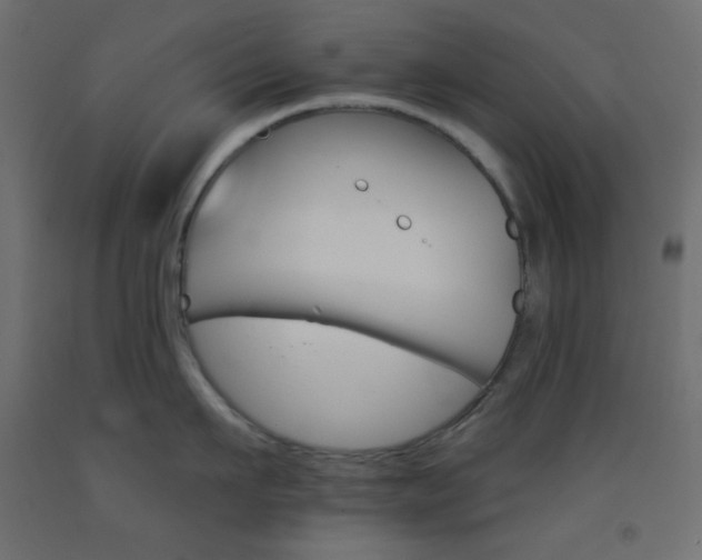 X0000093520911200710121125