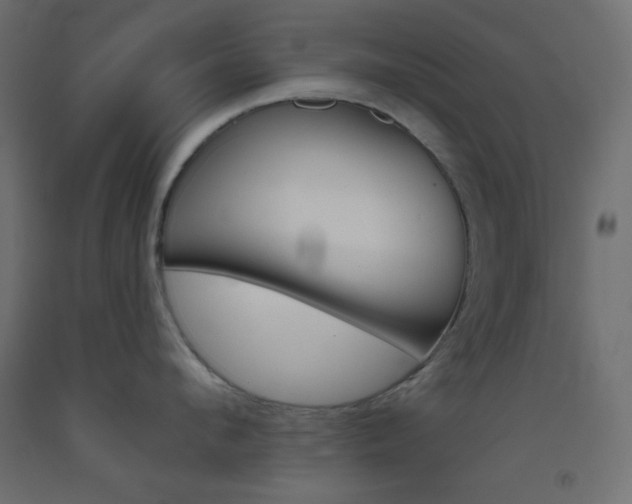 X0000093520912200710121125