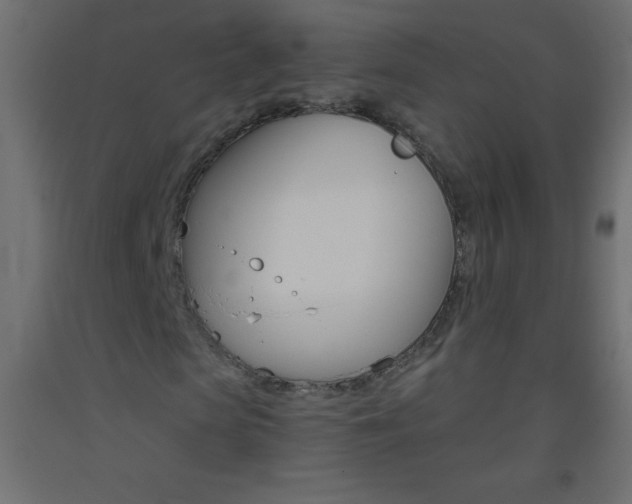X0000093520913200710121125