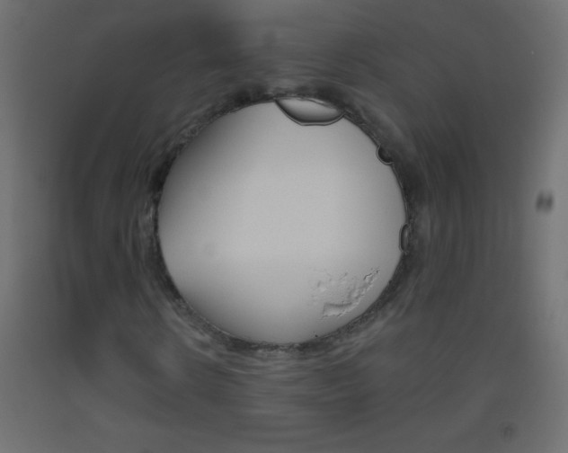 X0000093520914200710121125