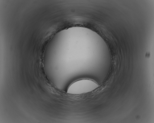 X0000093520916200710121125