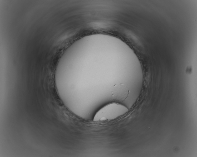 X0000093520917200710121125