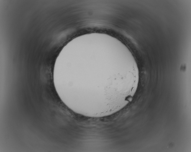 X0000093520918200710121125