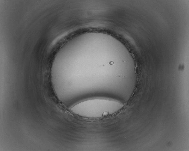 X0000093520920200710121125