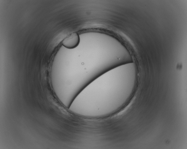 X0000093520921200710121125