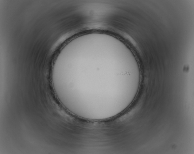 X0000093520922200710121125