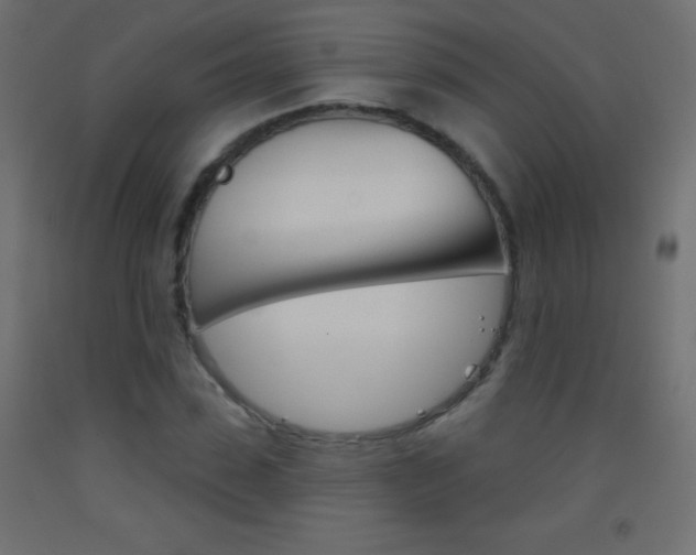 X0000093520923200710121125
