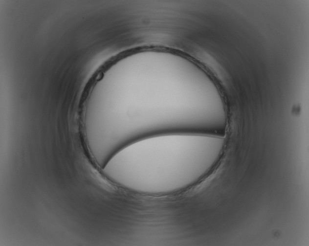 X0000093520924200710121125