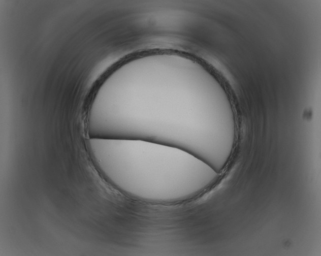X0000093520925200710121125