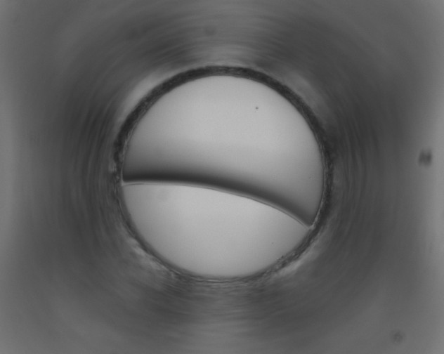 X0000093520926200710121125