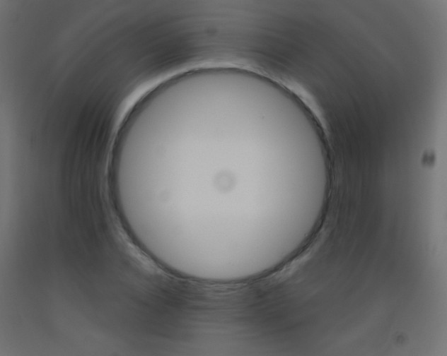 X0000093520928200710121125