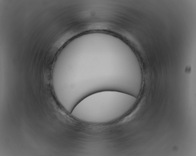 X0000093520929200710121125