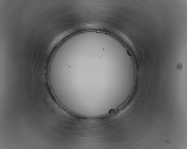 X0000093520930200710121125