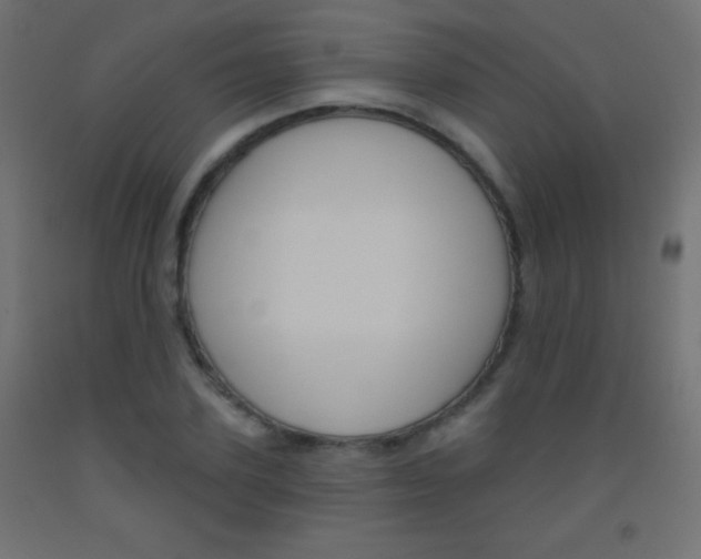 X0000093520931200710121125