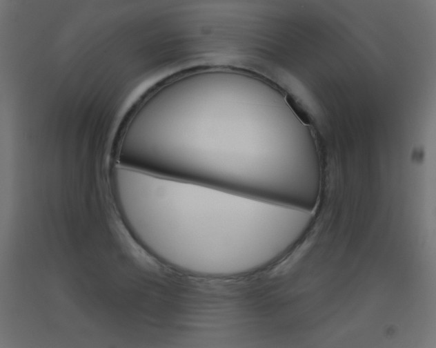 X0000093520932200710121125