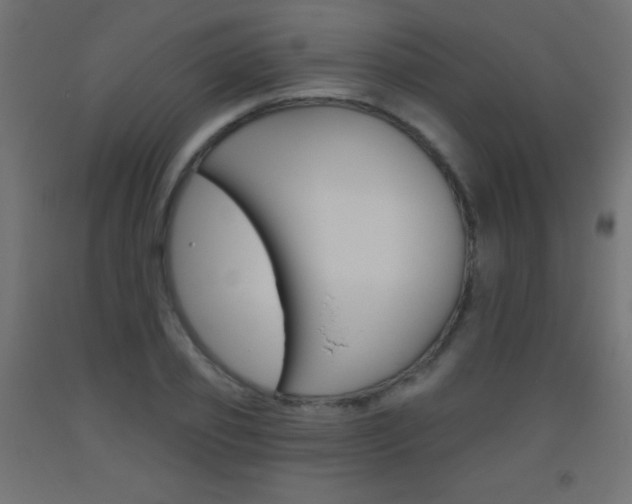 X0000093520933200710121125