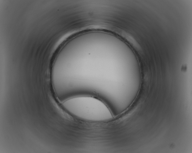 X0000093520934200710121125