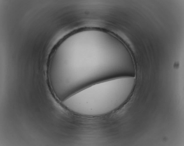 X0000093520935200710121125