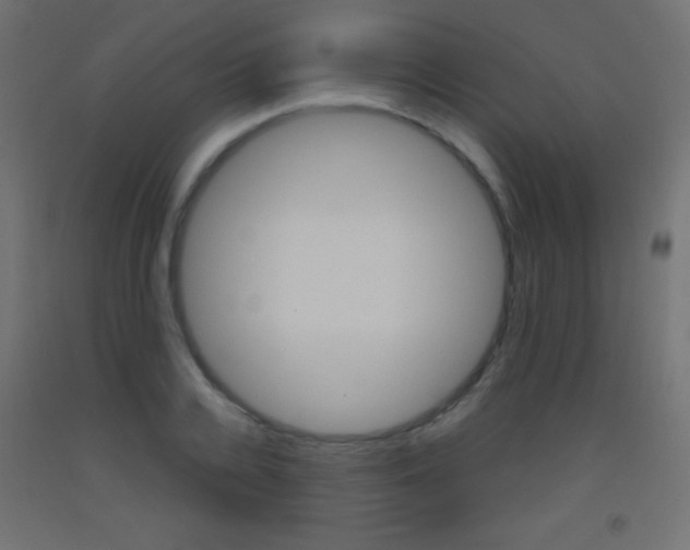 X0000093520936200710121125