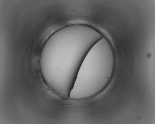 X0000093520937200710121125