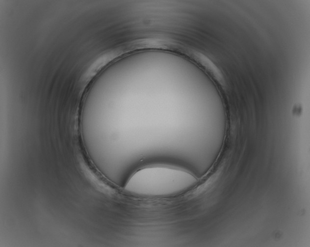 X0000093520938200710121125