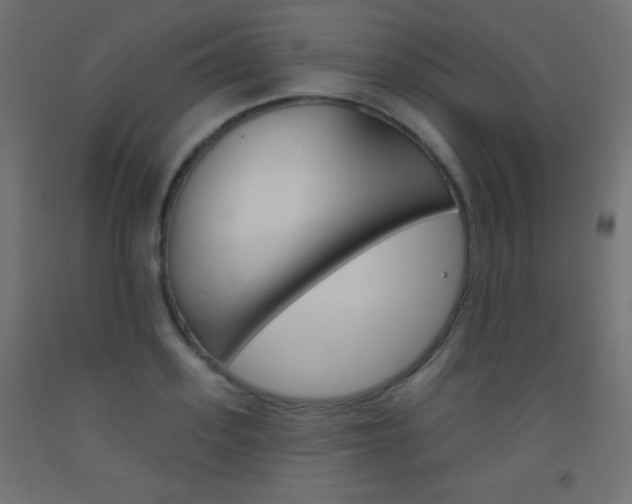 X0000093520939200710121125