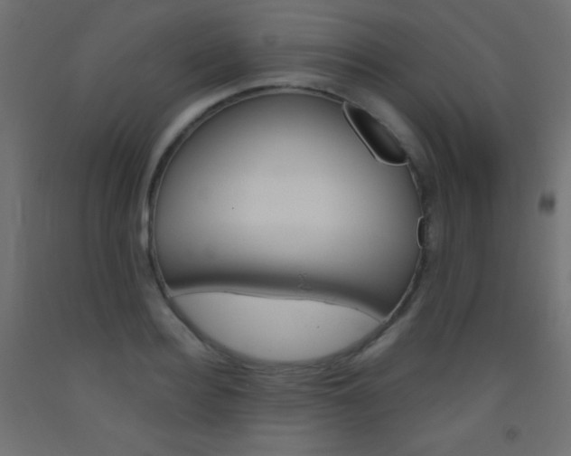 X0000093520940200710121125