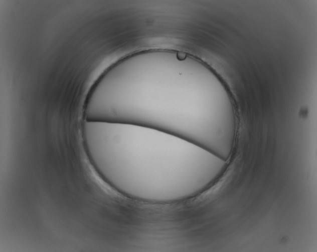 X0000093520941200710121125