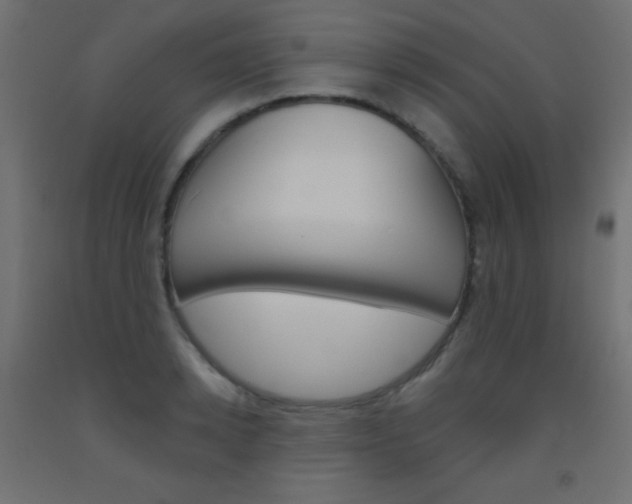 X0000093520942200710121125
