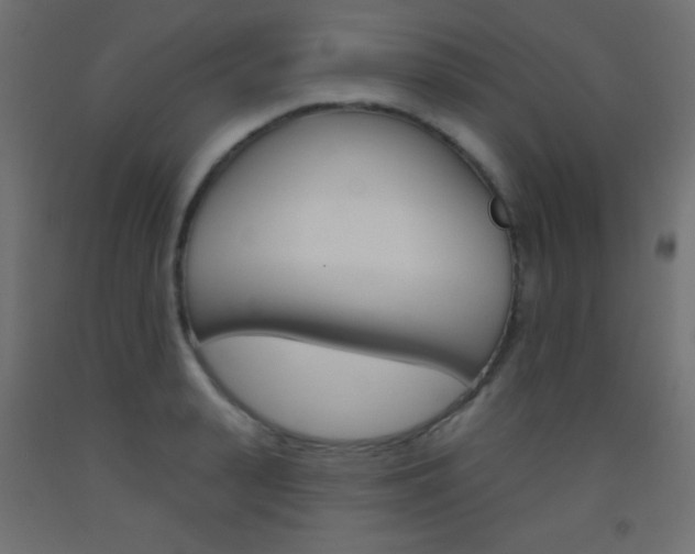 X0000093520943200710121125