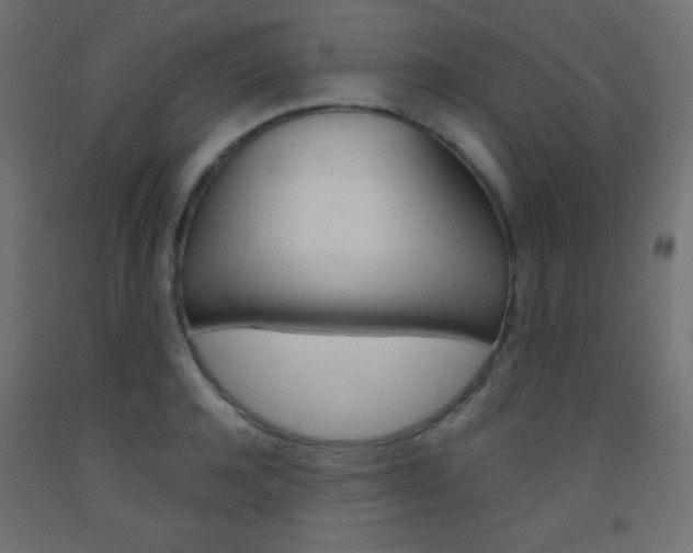 X0000093520944200710121125
