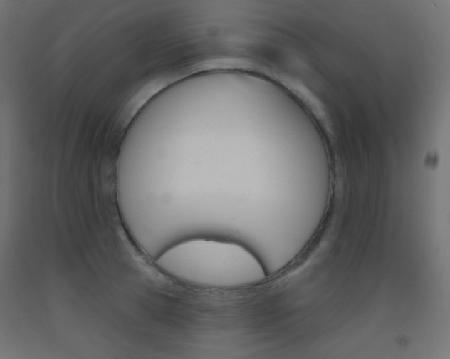 X0000093520945200710121125